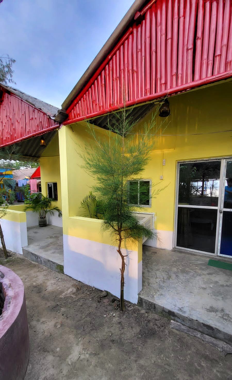Cottage exterior surrounded by pine and palm greenery